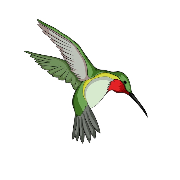 Ilustración de vector de colorido colibrí de garganta rubí en vuelo.