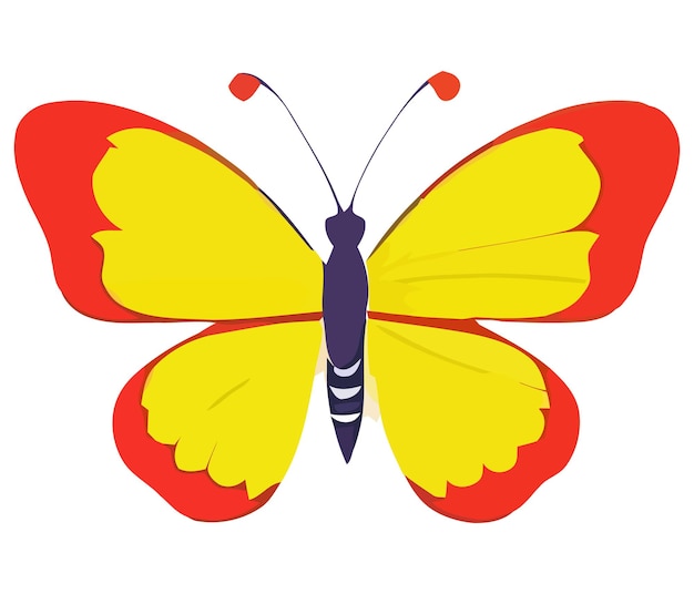 Ilustración de vector colorido de la mariposa