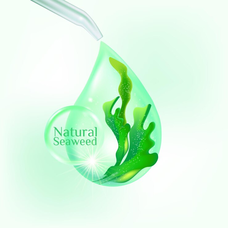 Vector ilustración de vector de comida de mar de ensalada de algas kelp frescas