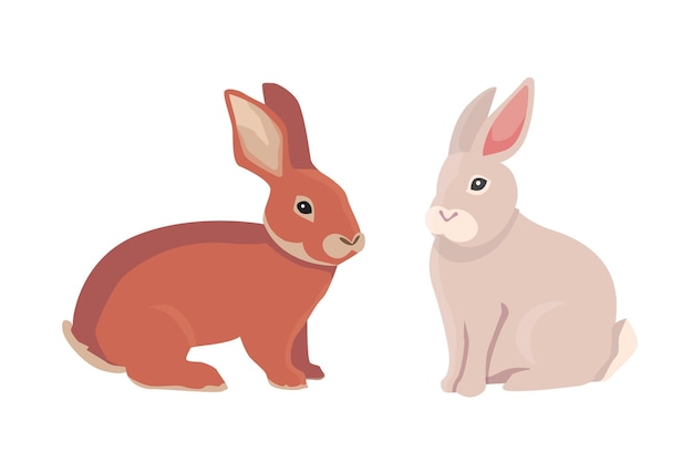 Ilustración de vector de conejos de dibujos animados de diferentes razas. conejitos finos para diseño veterinario.