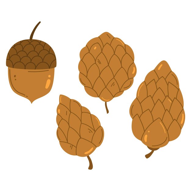 Ilustración de vector de cono de bellota o pino aislado sobre fondo blanco