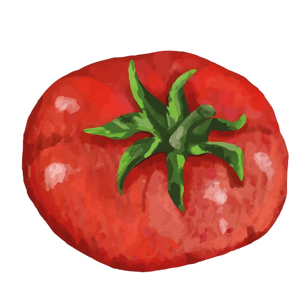 Ilustración de vector de cosecha de tomate maduro delicioso