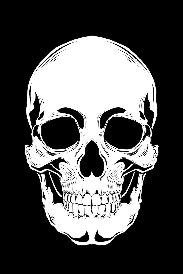 Vector ilustración de vector de cráneo humano