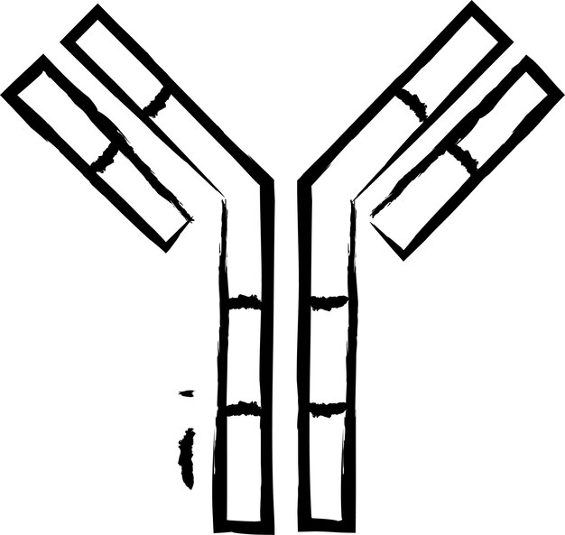 Ilustración de vector dibujado a mano de anticuerpo