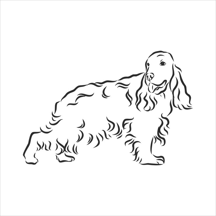 Vector ilustración de vector dibujado a mano cocker spaniel inglés. perro de estilo de dibujo. realista
