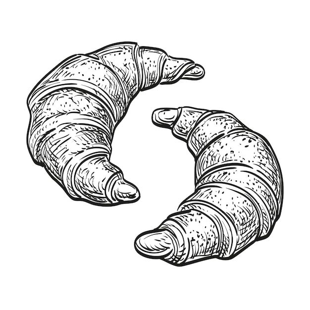 Ilustración de vector dibujado a mano de croissants aislados sobre fondo blanco estilo retro