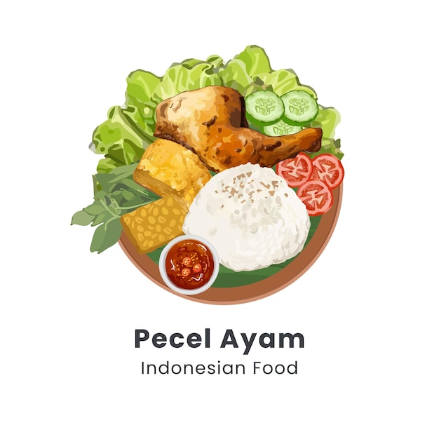 Ilustración de vector dibujado a mano de pecel ayam culinaria tradicional indonesia