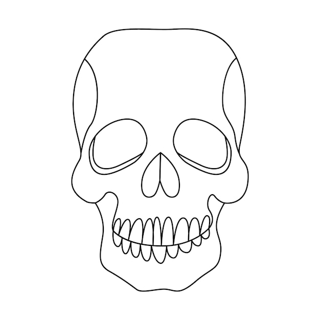 Ilustración de vector de dibujo de arte de una sola línea de cráneo humano