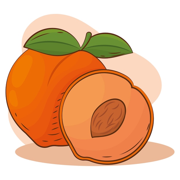 Ilustración de vector de dibujo de fruta naranja melocotón aislado