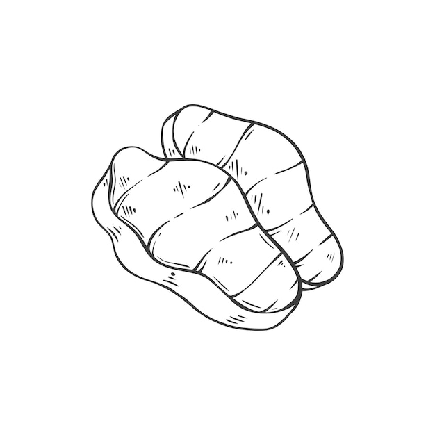 Ilustración de vector de dibujo a mano de carne