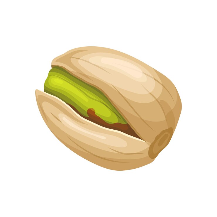 Vector ilustración de vector de dibujos animados de alimentos orgánicos de pistacho