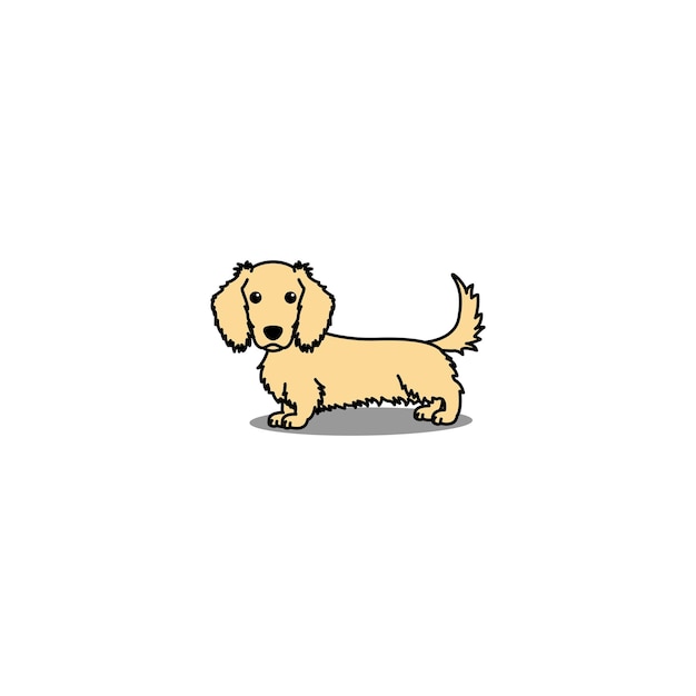 Ilustración de vector de dibujos animados de color crema de perro salchicha de pelo largo lindo