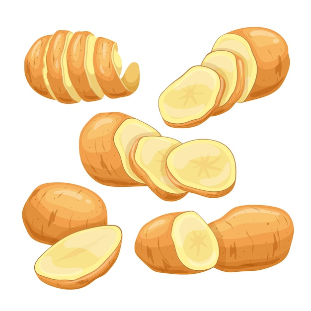 Vector ilustración de vector de dibujos animados conjunto de alimentos vegetales de patata