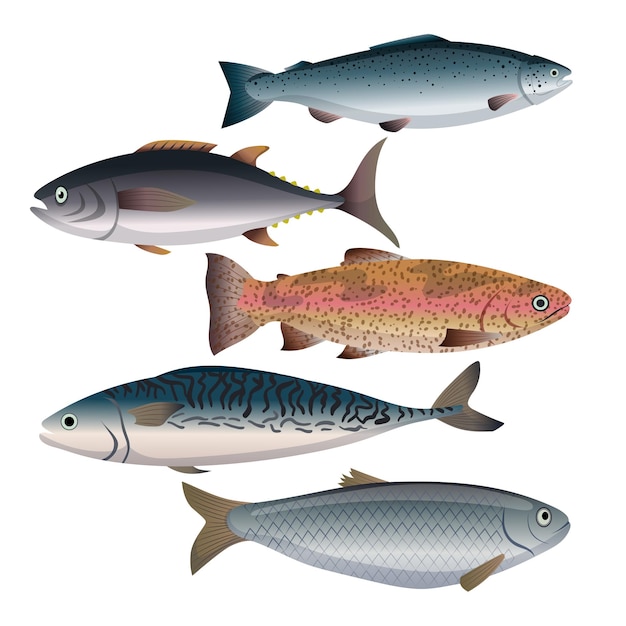 Vector ilustración de vector de dibujos animados conjunto de comida de pescado