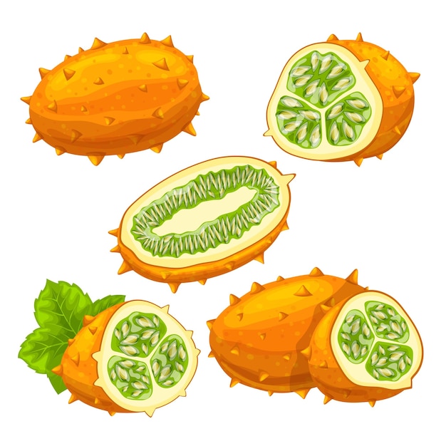 Ilustración de vector de dibujos animados conjunto maduro de comida Kiwano