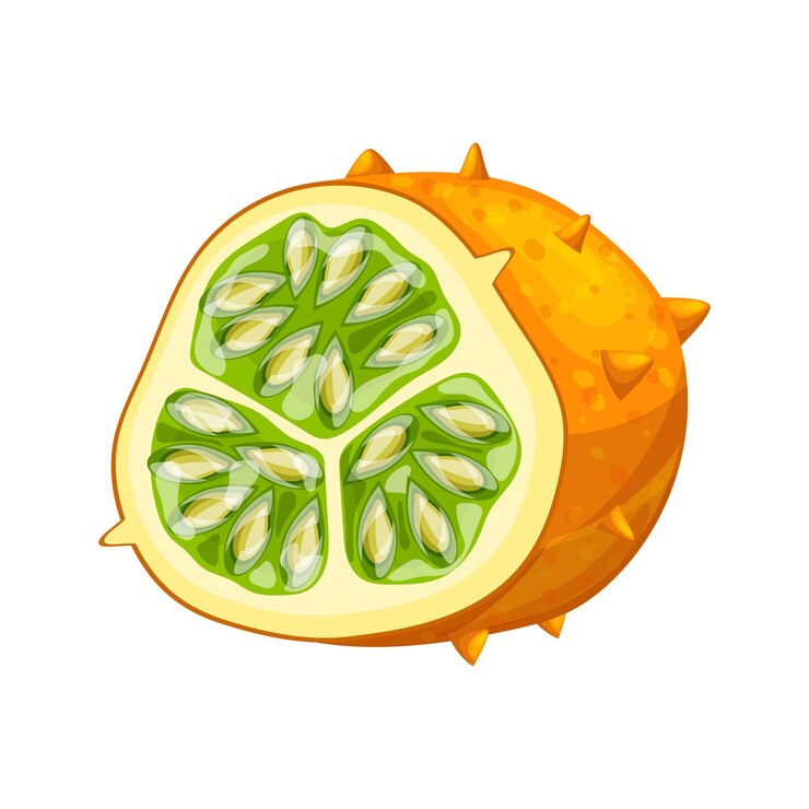 Vector ilustración de vector de dibujos animados de corte de comida de fruta de kiwano