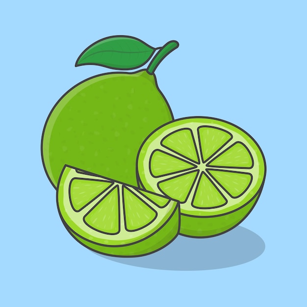 Vector ilustración de vector de dibujos animados de fruta de lima rebanada y contorno de icono plano completo de lima