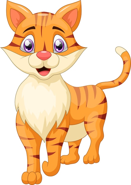 Ilustración de vector de dibujos animados lindo gato