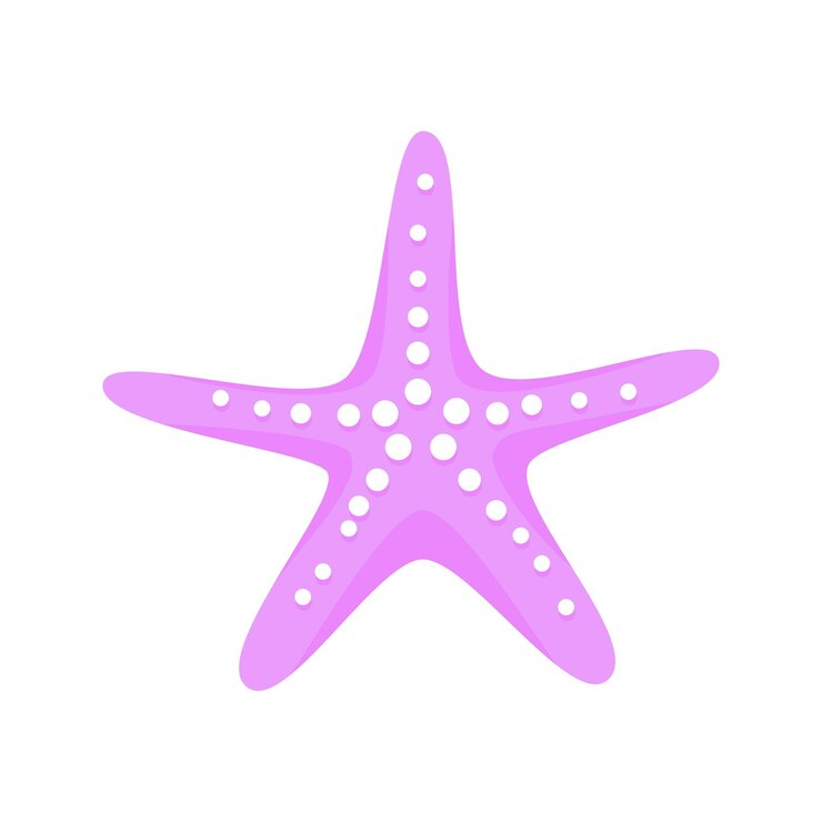 Vector ilustración de vector de diseño de estilo plano de estrella de mar rosa aislado sobre fondo blanco
