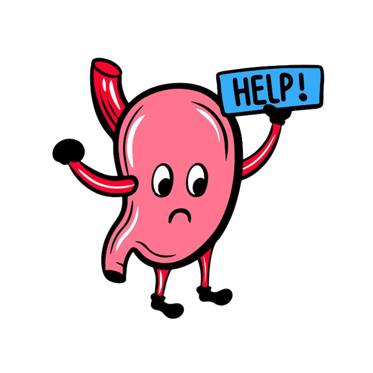 Vector ilustración de vector de diseño plano de icono de personaje de dibujos animados de estómago