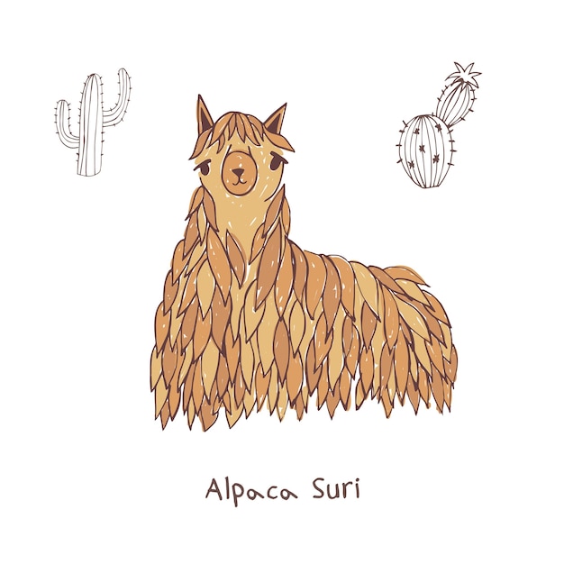 Ilustración de vector de doodle dibujado a mano alpaca suri