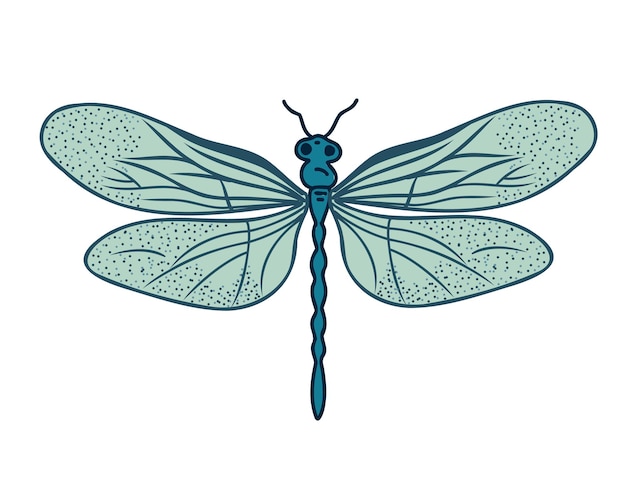 Ilustración de vector de doodle de libélula