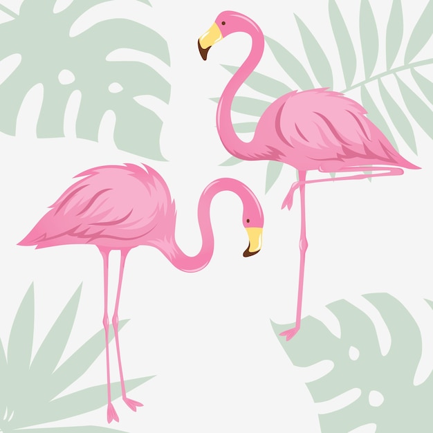 Ilustración de vector de dos flamencos para diseño