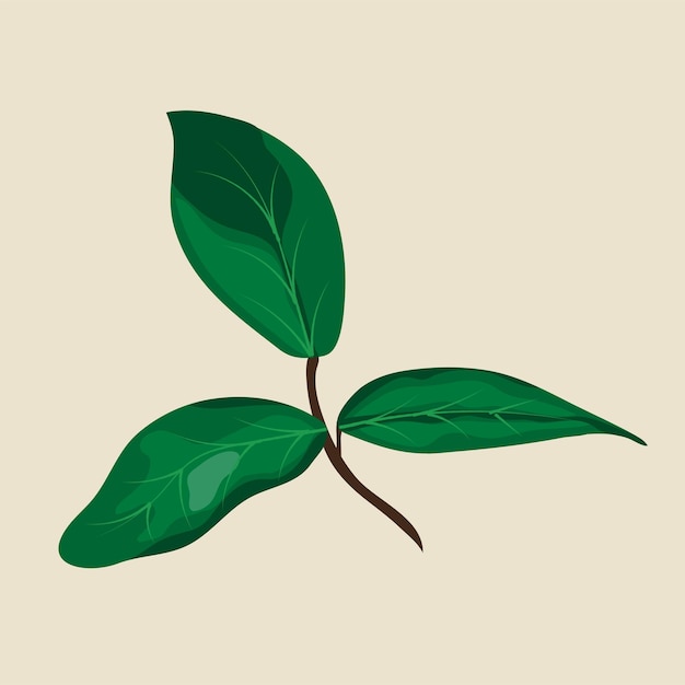 ilustración de vector de elemento de hoja