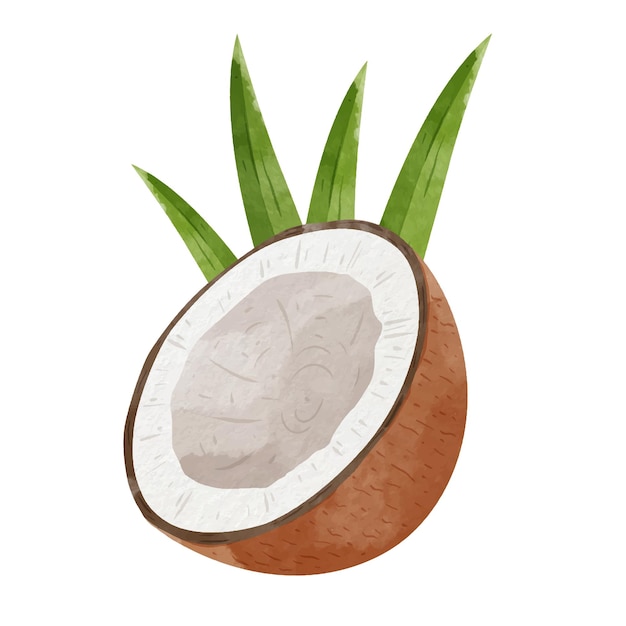 Ilustración de vector de estilo acuarela de elementos de diseño de coco