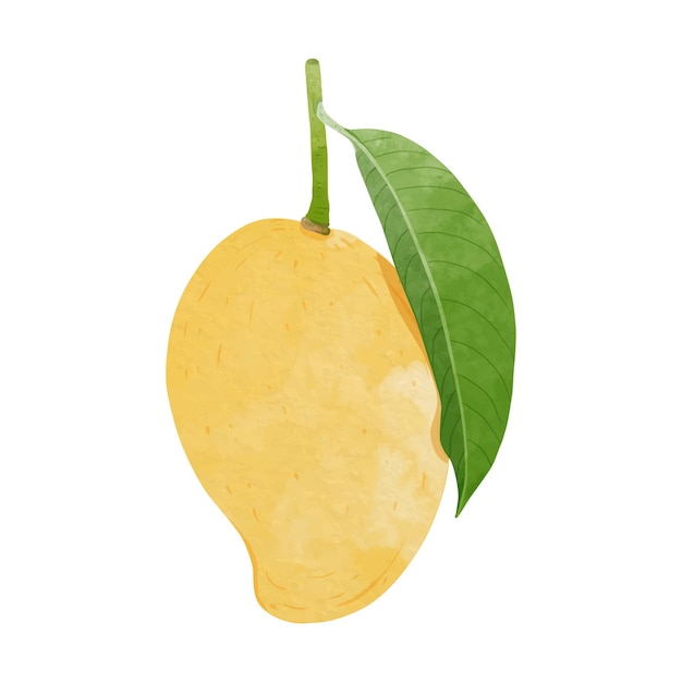 Ilustración de vector de estilo acuarela de elementos de diseño de mango