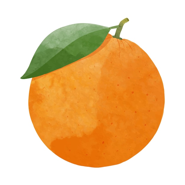 Vector ilustración de vector de estilo acuarela de elementos de diseño naranja