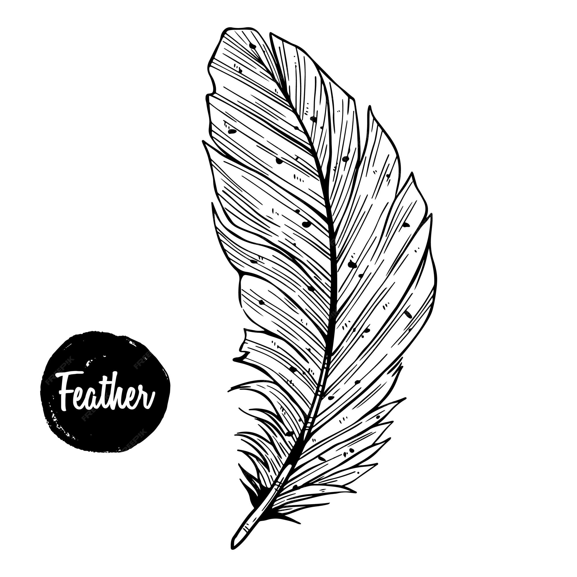 Ilustración de vector de estilo de dibujo de pluma de pájaro paloma blanco  y negro dibujado a mano sobre fondo blanco | Vector Premium