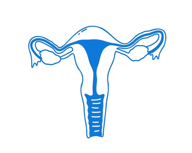 Ilustración de vector de estilo de doodle de útero