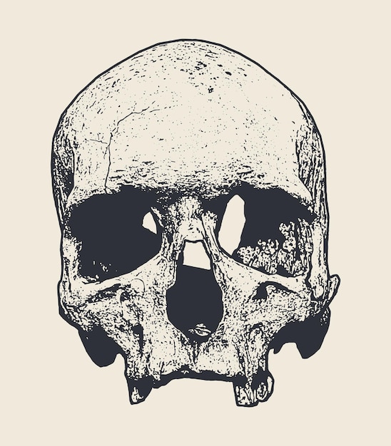 Ilustración de vector de estilo de grabado de scull dibujado a mano