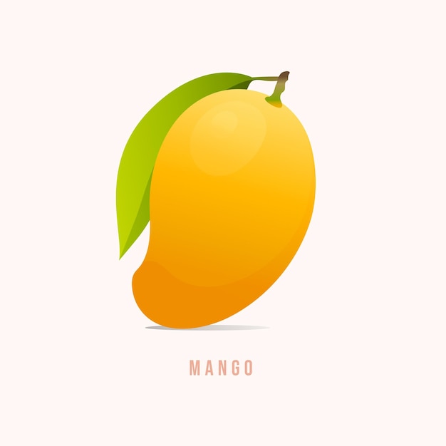 Vector ilustración de vector de estilo moderno de fruta de mango