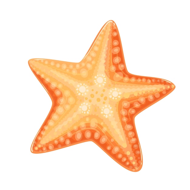 Ilustración de vector de estrella de mar o estrella de mar