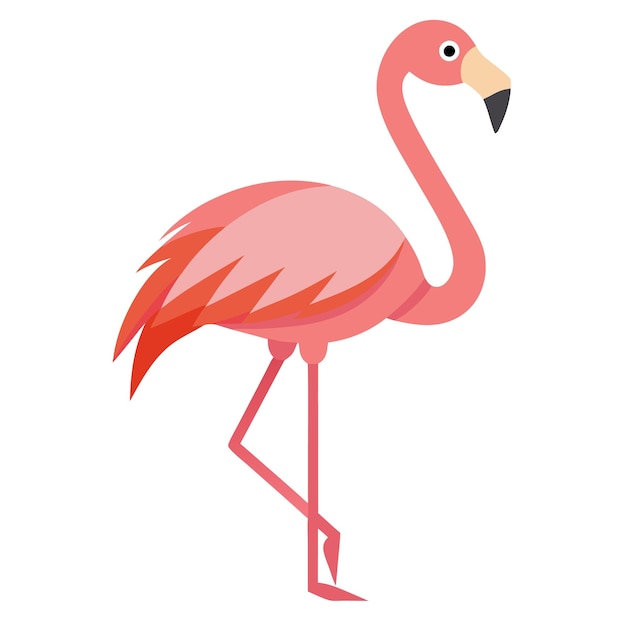 Ilustración de vector flamenco rosado aislado sobre fondo blanco