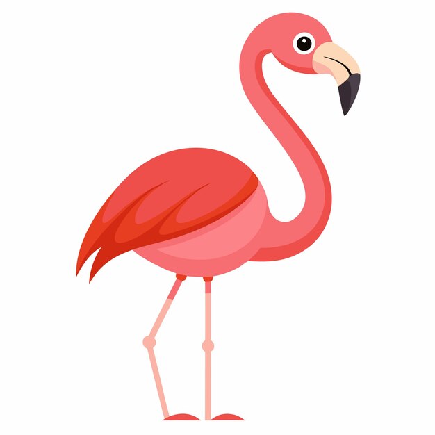 Ilustración de vector flamenco rosado aislado sobre fondo blanco