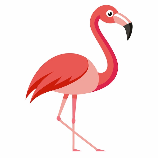 Ilustración de vector flamenco rosado aislado sobre fondo blanco