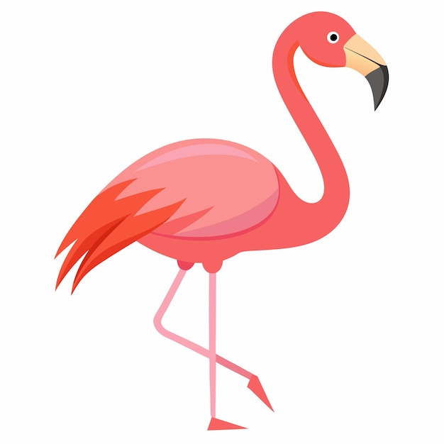 Ilustración de vector flamenco rosado aislado sobre fondo blanco