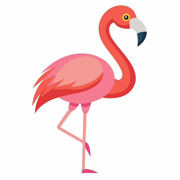 Ilustración de vector flamenco rosado aislado sobre fondo blanco