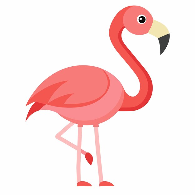 Ilustración de vector flamenco rosado aislado sobre fondo blanco