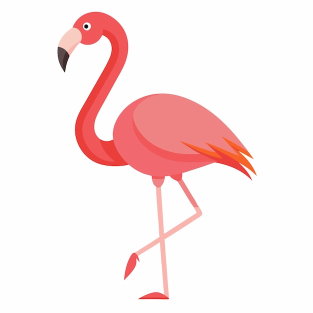 Ilustración de vector flamenco rosado aislado sobre fondo blanco