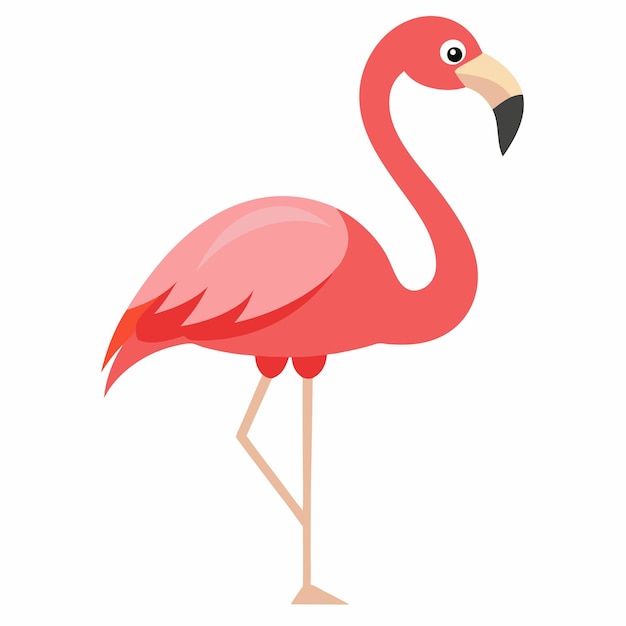 Ilustración de vector flamenco rosado aislado sobre fondo blanco
