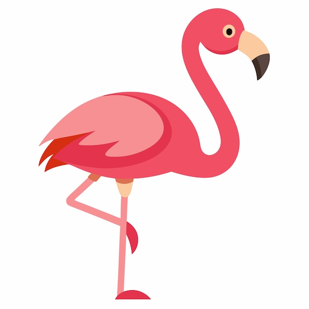 Ilustración de vector flamenco rosado aislado sobre fondo blanco