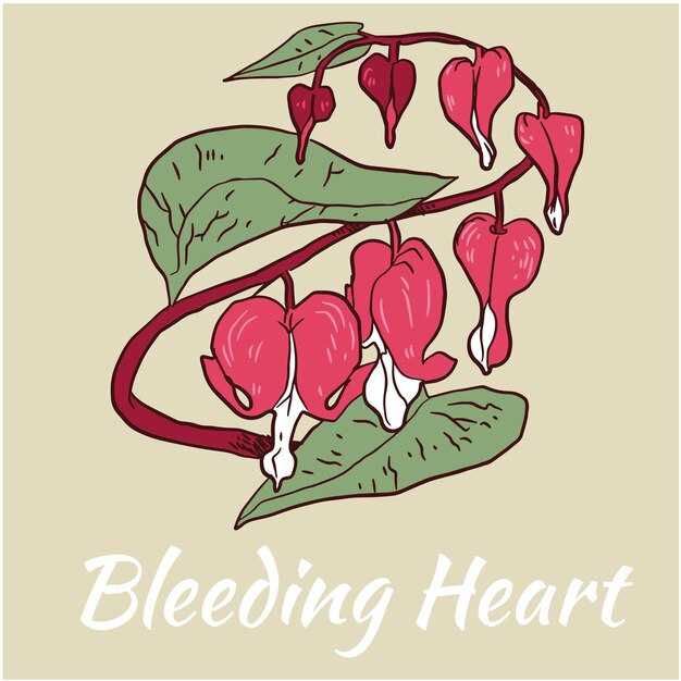 Ilustración de vector de flor de corazón sangrante de color