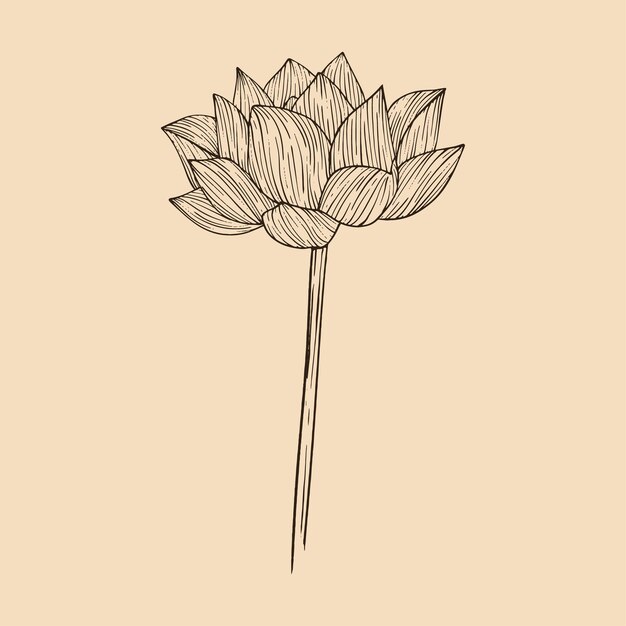 Ilustración de vector de flor de loto con arte de línea