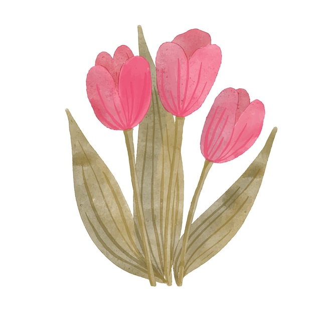 Vector ilustración de vector floral acuarela de tulipanes