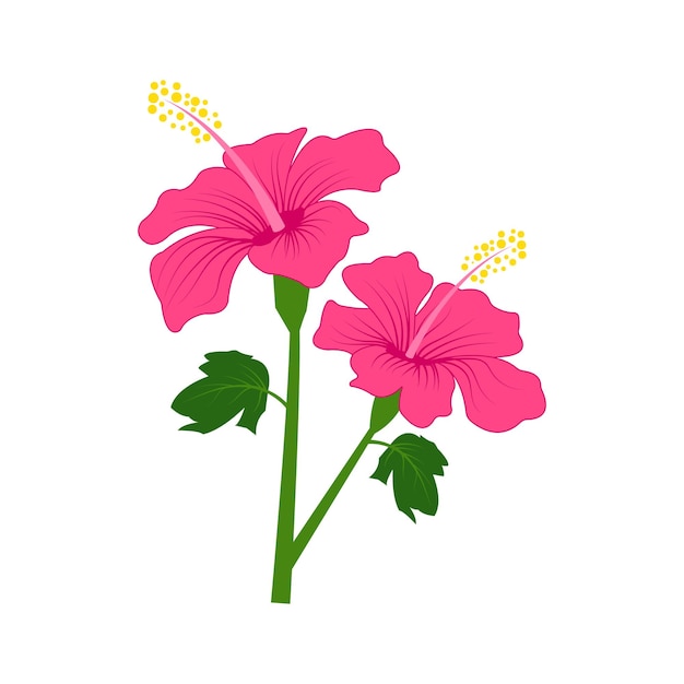 Ilustración de vector floral de flor de hibisco