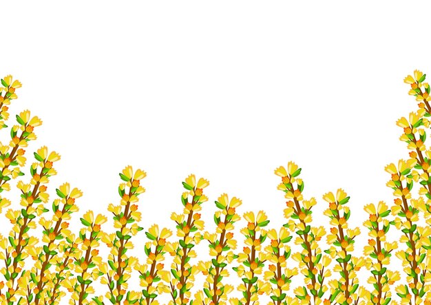 Ilustración de vector floral de primavera Patrón con flores de forsythia amarilla Plantilla para publicidad web